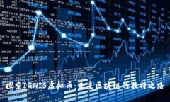 探索IGNIS虚拟币：未来区块链的独特之路