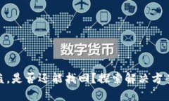 TP钱包币被盗，是否还能找回？探索解决方案与预