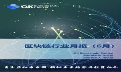 重生虚拟币币圈：揭秘未来趋势与投资机会