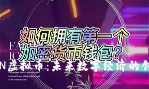 探索APN虚拟币：未来数字经济的创新先锋