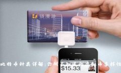 比特币种类详解：你所不知道的虚拟币多样性