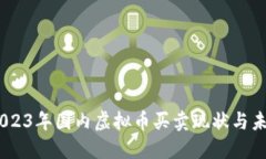 探讨：2023年国内虚拟币买卖现状与未来趋势