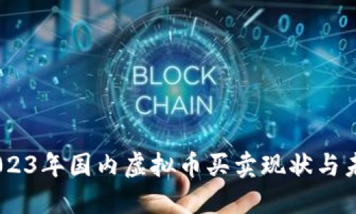 探讨：2023年国内虚拟币买卖现状与未来趋势